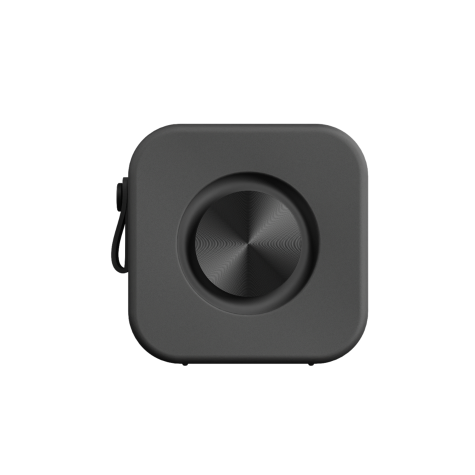 Sudio F2 Black | Portable Speakers