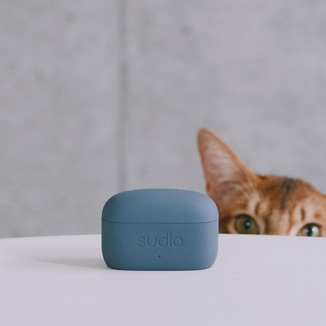 The Sudio E2's Spatial Sound gives you 360 degrees of concert like sound in your earbuds. Everyone, even your feline friends, will be curious. Learn more about Spatial Audio on sudio.com.⁠
⁠
#sudio #shapingsound #cat #E2ElectricGray @sakunene