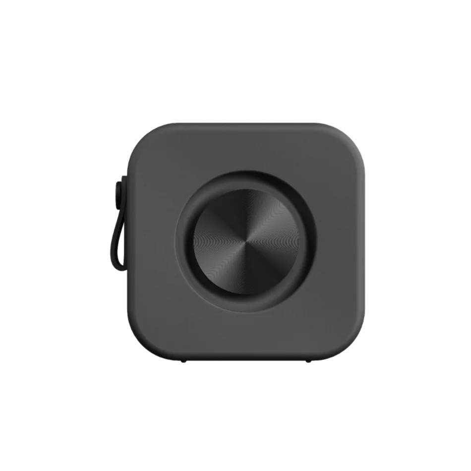 Sudio F2 Black | Portable Speakers