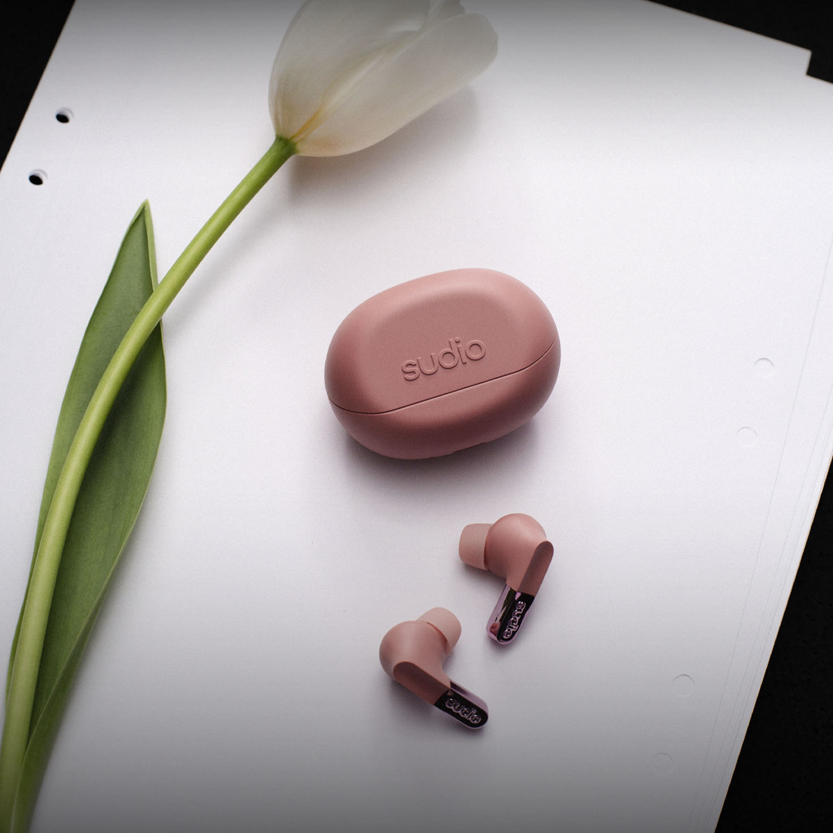 true wireless earbuds