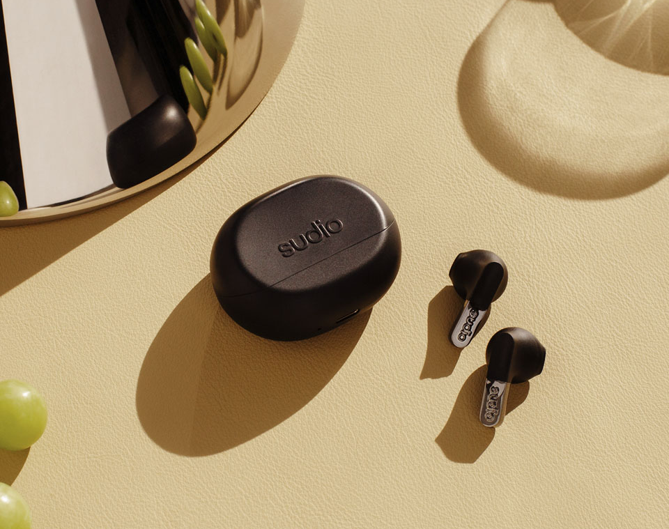 Sudio Black Earbuds Case